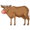cattle