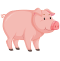 cartoon-pig