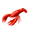 shellyfish